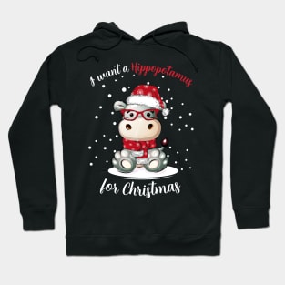 I Want A Hippopotamus For Christmas Hoodie